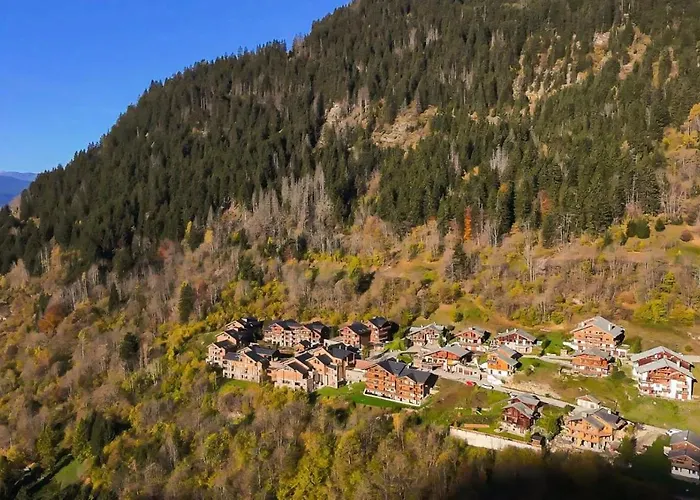Les Nouveaux Alpages - 4 Avec Acces Au Mae-6664 Apartment La Plagne